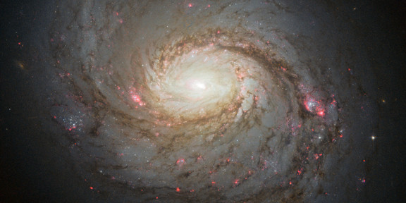 Hubble image of the spiral galaxy NGC 1068.