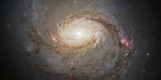 Hubble image of the spiral galaxy NGC 1068.