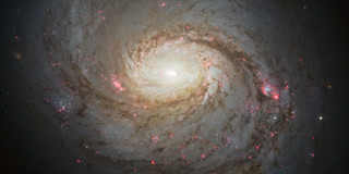 Hubble Aufnahme der Spiralgalaxie NGC 1068.